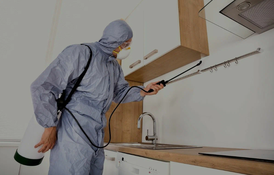 Yuba City pest managment